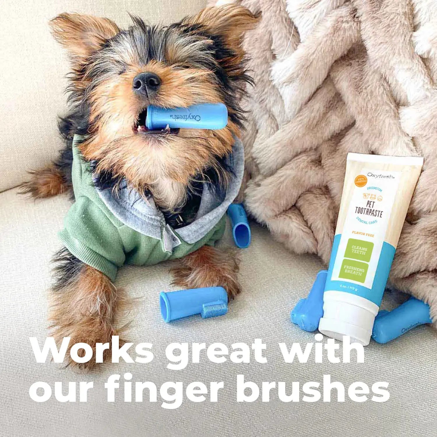 Fido's Fresh Foam - Turn Your Pup into a Plaque-Cleaning Toothbrush Hero!