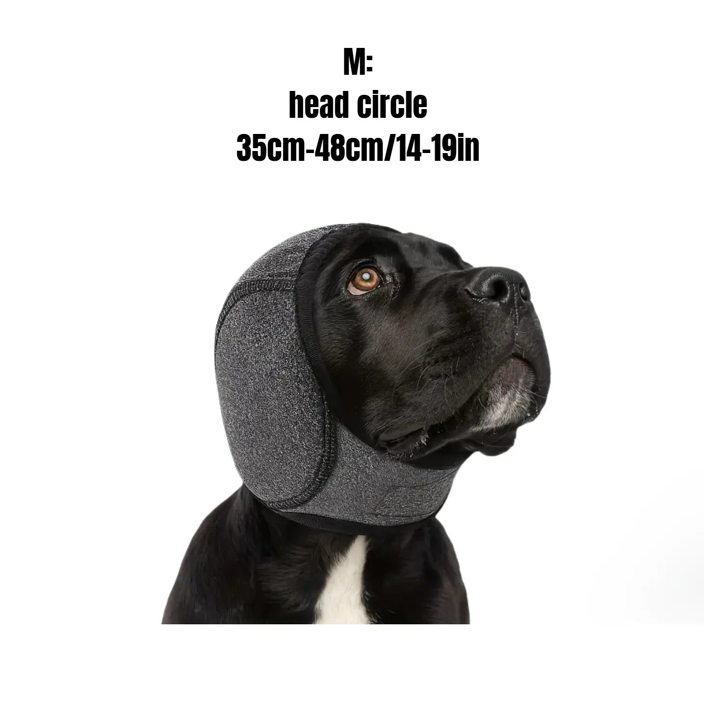 Bark-a-Lounger: Fido's Fashionable Ear Muff Wonder for Silent Beach Vacays!