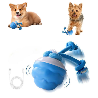 Wag-tastic Wiggle Ball: The Squeaky Snack Your Small Pooch & Purr-fect Feline Can't Resist!