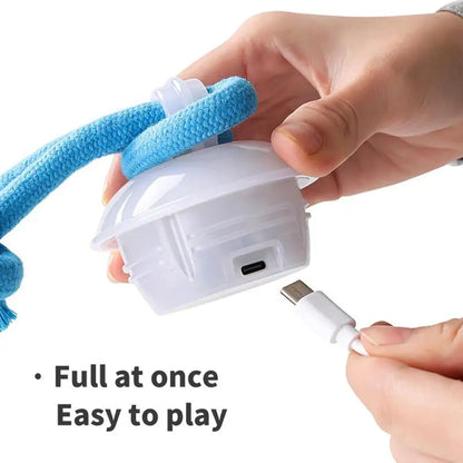 Wag-tastic Wiggle Ball: The Squeaky Snack Your Small Pooch & Purr-fect Feline Can't Resist!