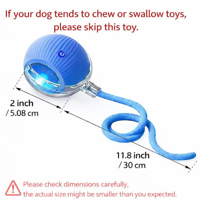 The Ultimate Furry Frenzy: Tail-wagging, Cat-chasing, Ball-rolling Shenanigans for Your Pooch and Purr Machine!