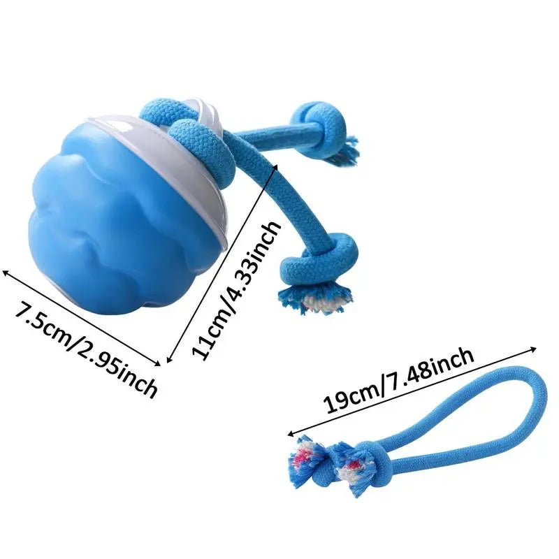 Wag-tastic Wiggle Ball: The Squeaky Snack Your Small Pooch & Purr-fect Feline Can't Resist!