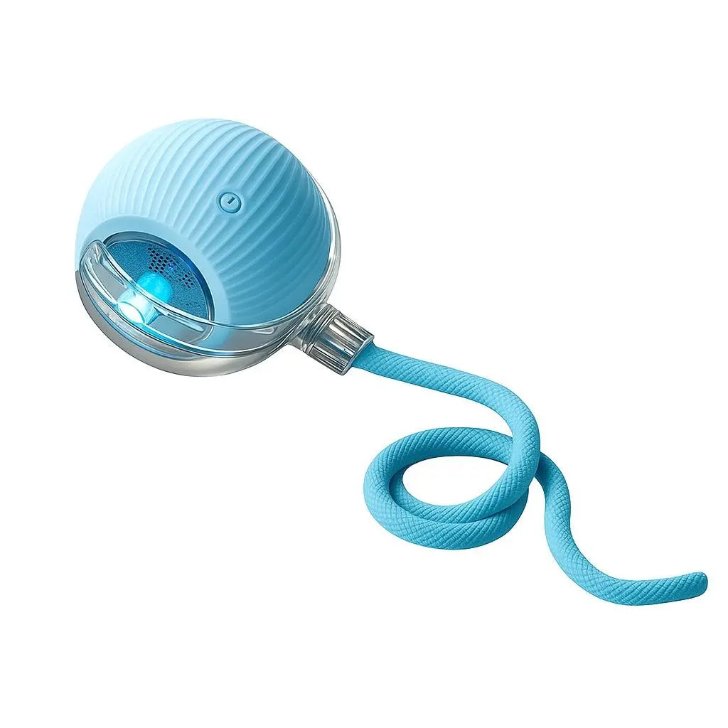 The Ultimate Furry Frenzy: Tail-wagging, Cat-chasing, Ball-rolling Shenanigans for Your Pooch and Purr Machine!