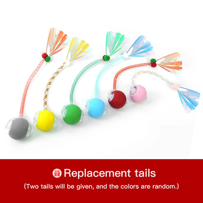 The Ultimate Furry Frenzy: Tail-wagging, Cat-chasing, Ball-rolling Shenanigans for Your Pooch and Purr Machine!