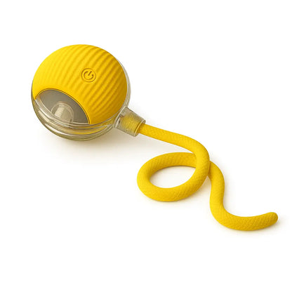 The Ultimate Furry Frenzy: Tail-wagging, Cat-chasing, Ball-rolling Shenanigans for Your Pooch and Purr Machine!