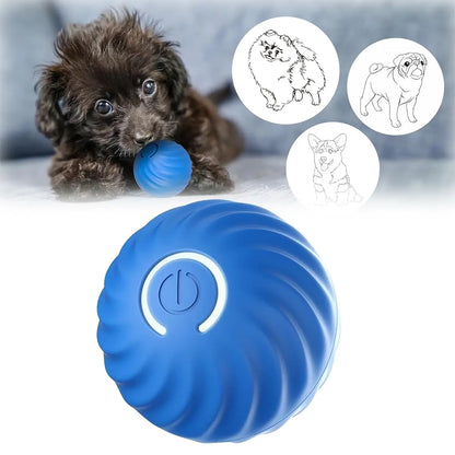 Wag-tastic Wiggle Ball: The Squeaky Snack Your Small Pooch & Purr-fect Feline Can't Resist!