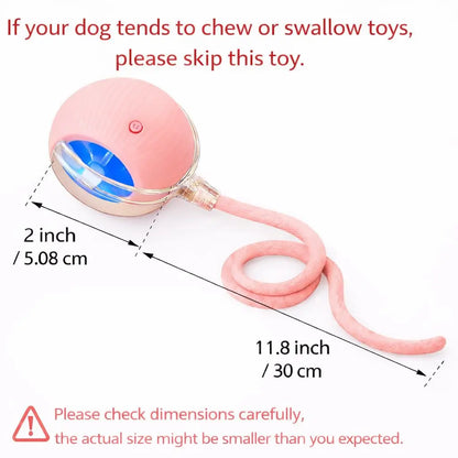 The Ultimate Furry Frenzy: Tail-wagging, Cat-chasing, Ball-rolling Shenanigans for Your Pooch and Purr Machine!