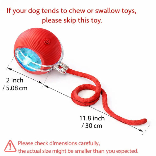 The Ultimate Furry Frenzy: Tail-wagging, Cat-chasing, Ball-rolling Shenanigans for Your Pooch and Purr Machine!