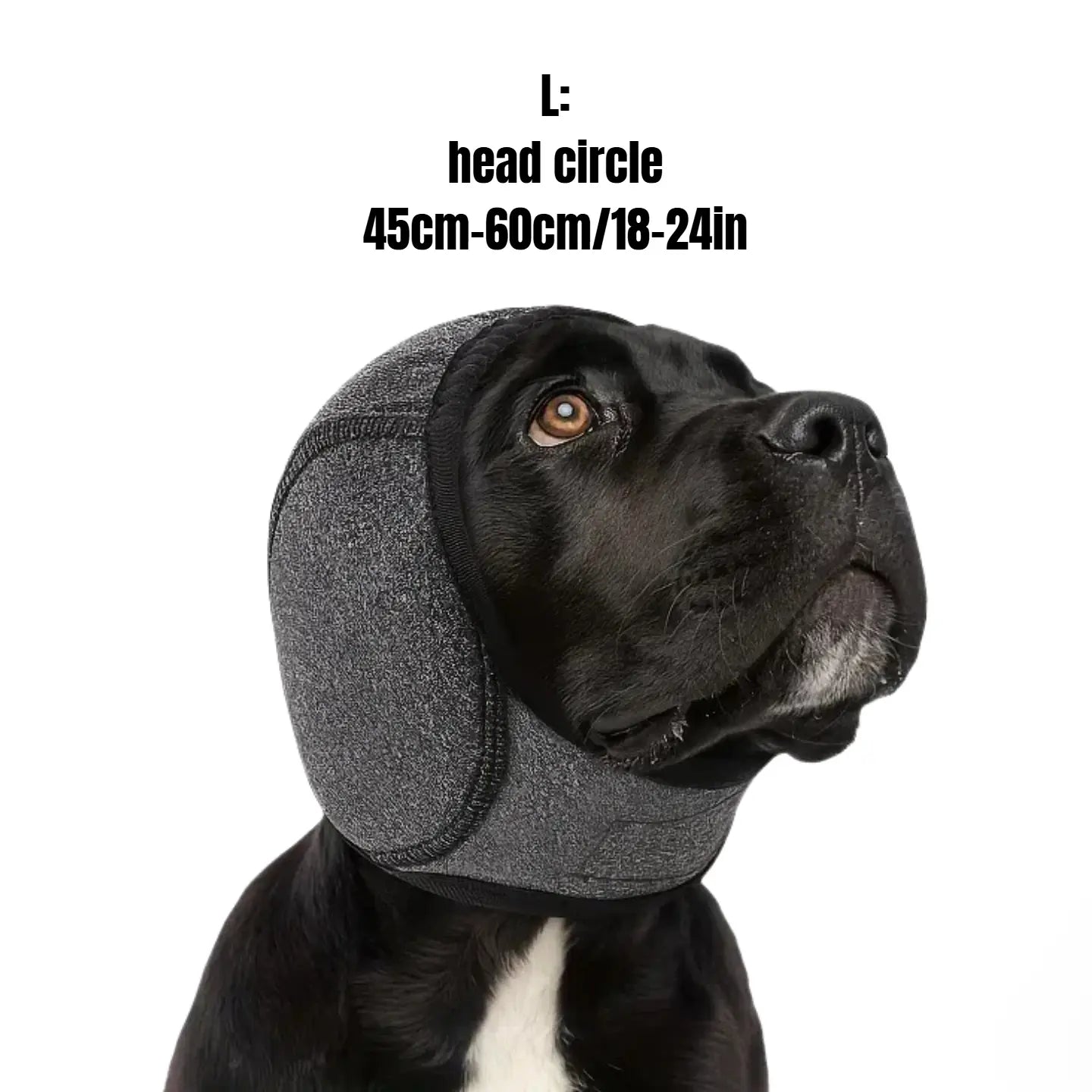 Bark-a-Lounger: Fido's Fashionable Ear Muff Wonder for Silent Beach Vacays!