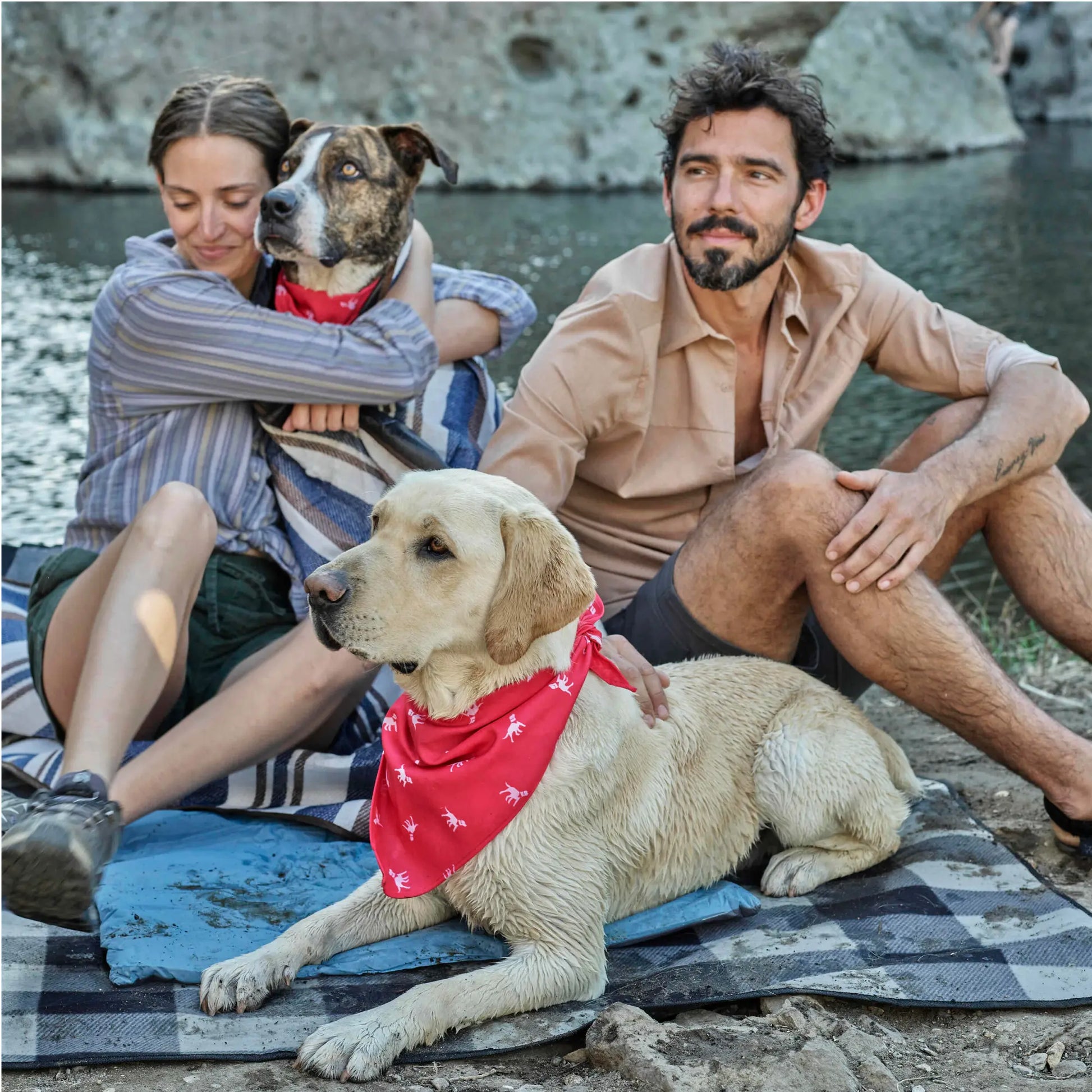 Doggo Fashionista's Chic Drool-ettes: The Ultimate Stylish Scarf for Waggly Models!