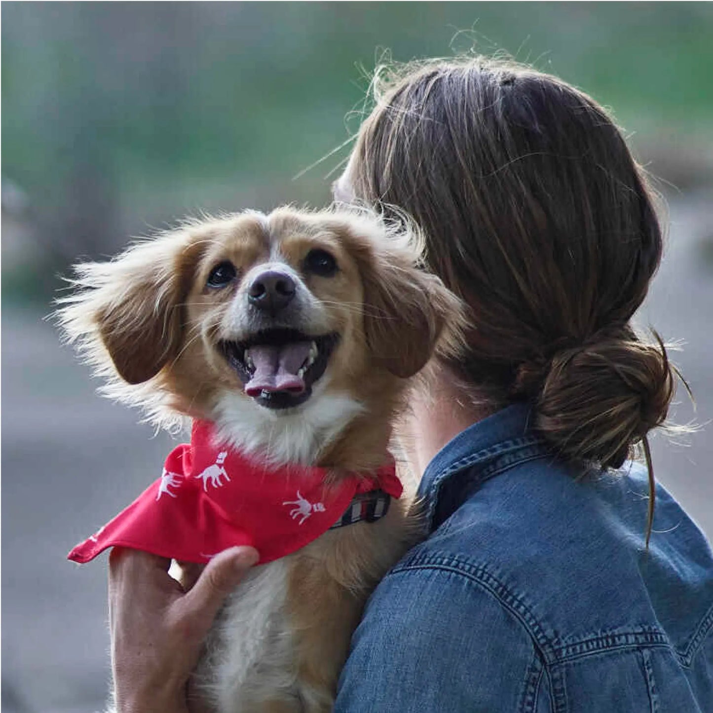 Doggo Fashionista's Chic Drool-ettes: The Ultimate Stylish Scarf for Waggly Models!