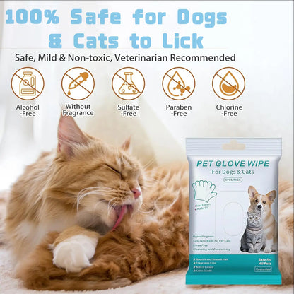 Furry Spa Day Kit: Pawsitively Pawesome Pet Gloves and Wipes for Spaghetti Dogs and Catrick Stars - No Rinsing Required, Just Wipe and Wiggle (6 PCS of Happiness)