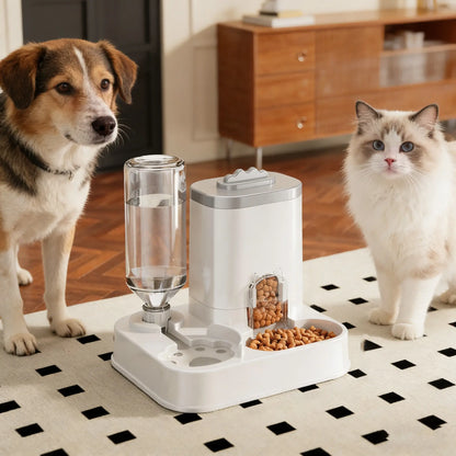 Purr-fectly Hydrated: The Cat's Ultimate Water & Snack Oasis - No Batteries, No Worries, Just Meow-nificent Sips & Nibbles!