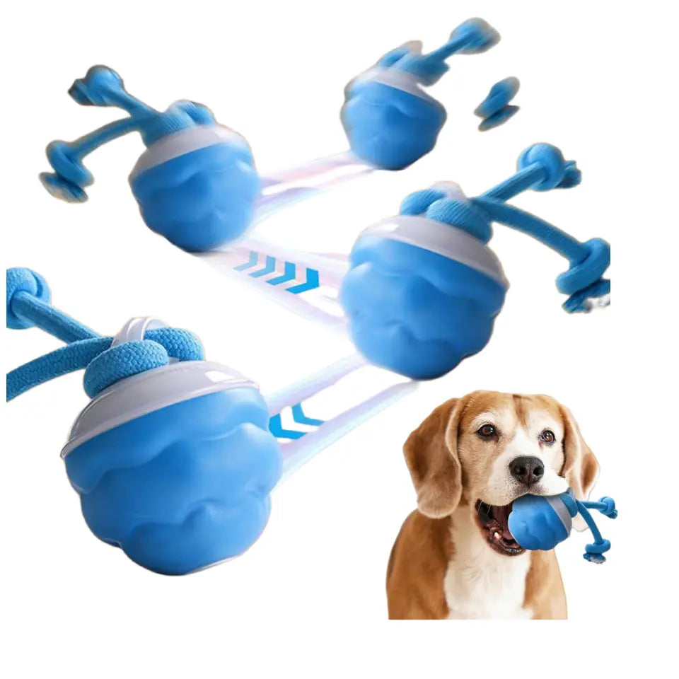 Wag-tastic Wiggle Ball: The Squeaky Snack Your Small Pooch & Purr-fect Feline Can't Resist!