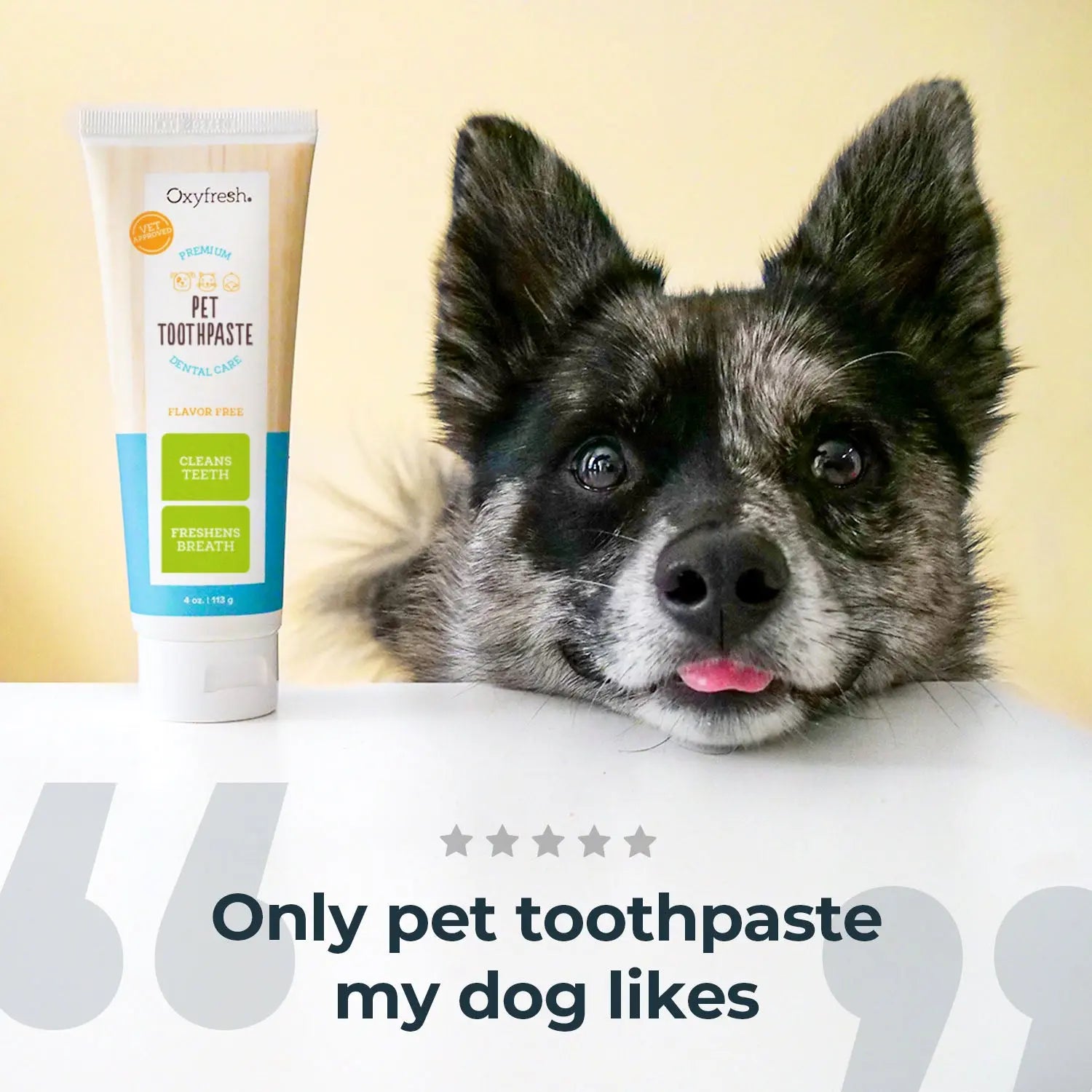 Fido's Fresh Foam - Turn Your Pup into a Plaque-Cleaning Toothbrush Hero!