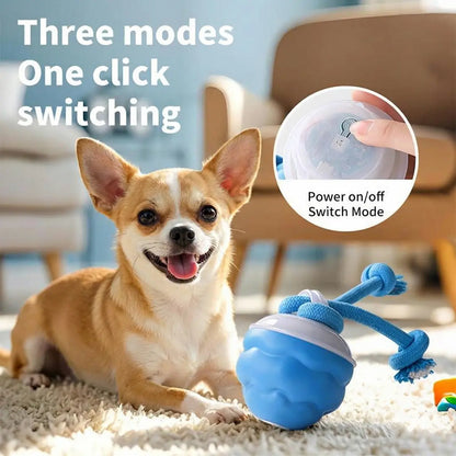 Wag-tastic Wiggle Ball: The Squeaky Snack Your Small Pooch & Purr-fect Feline Can't Resist!