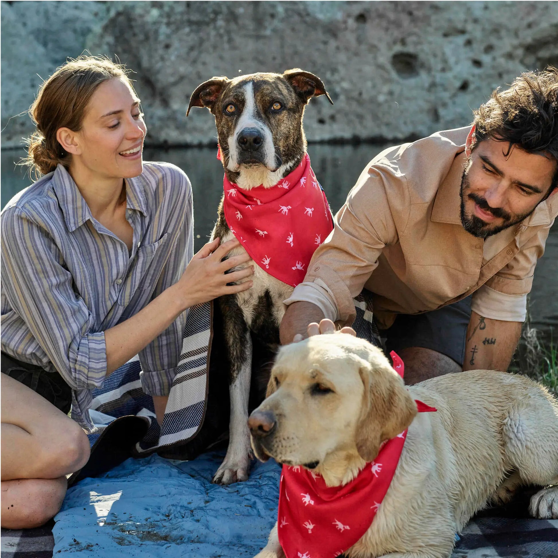 Doggo Fashionista's Chic Drool-ettes: The Ultimate Stylish Scarf for Waggly Models!