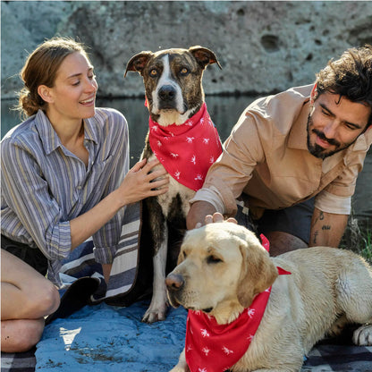Doggo Fashionista's Chic Drool-ettes: The Ultimate Stylish Scarf for Waggly Models!