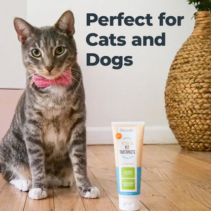 Fido's Fresh Foam - Turn Your Pup into a Plaque-Cleaning Toothbrush Hero!