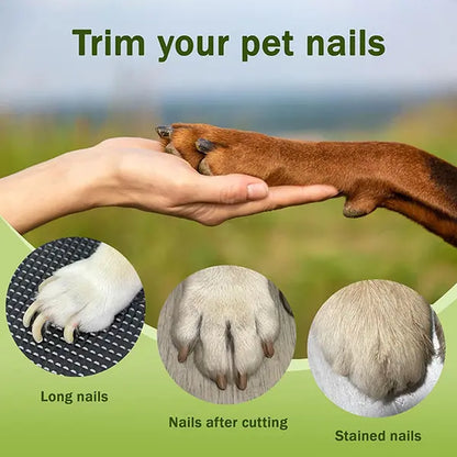 Paw-sitively Pawesome Nail Slicer and Shiny Toe Grind-O-Matic for Furry Feet of All Flavors!