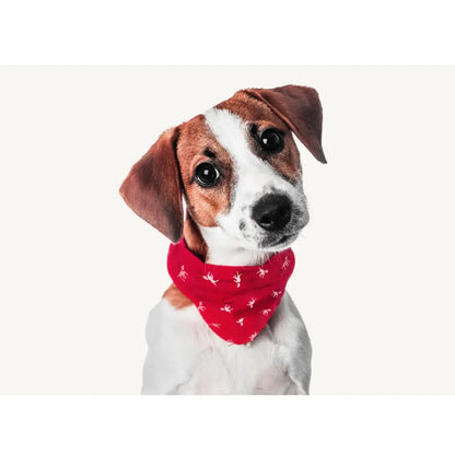 Doggo Fashionista's Chic Drool-ettes: The Ultimate Stylish Scarf for Waggly Models!