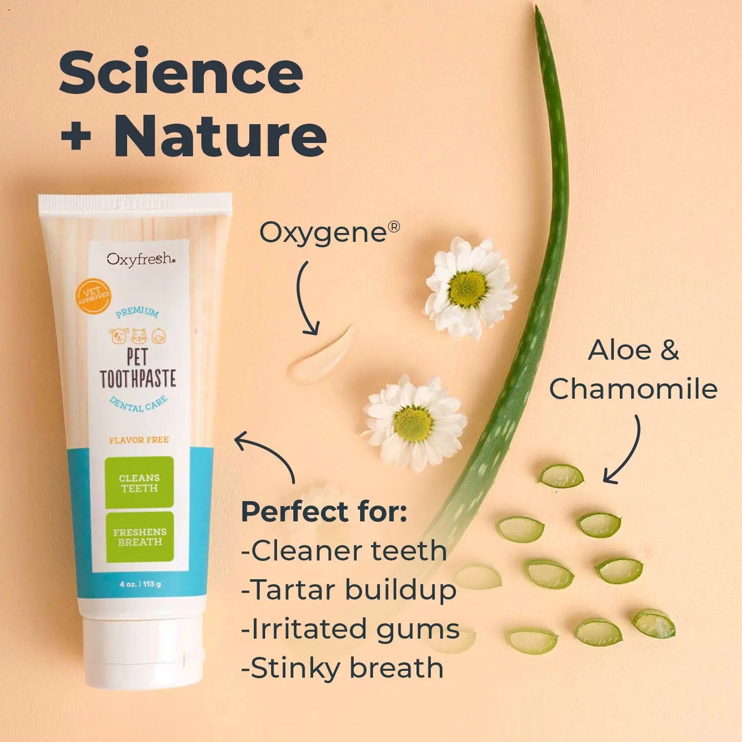 Fido's Fresh Foam - Turn Your Pup into a Plaque-Cleaning Toothbrush Hero!