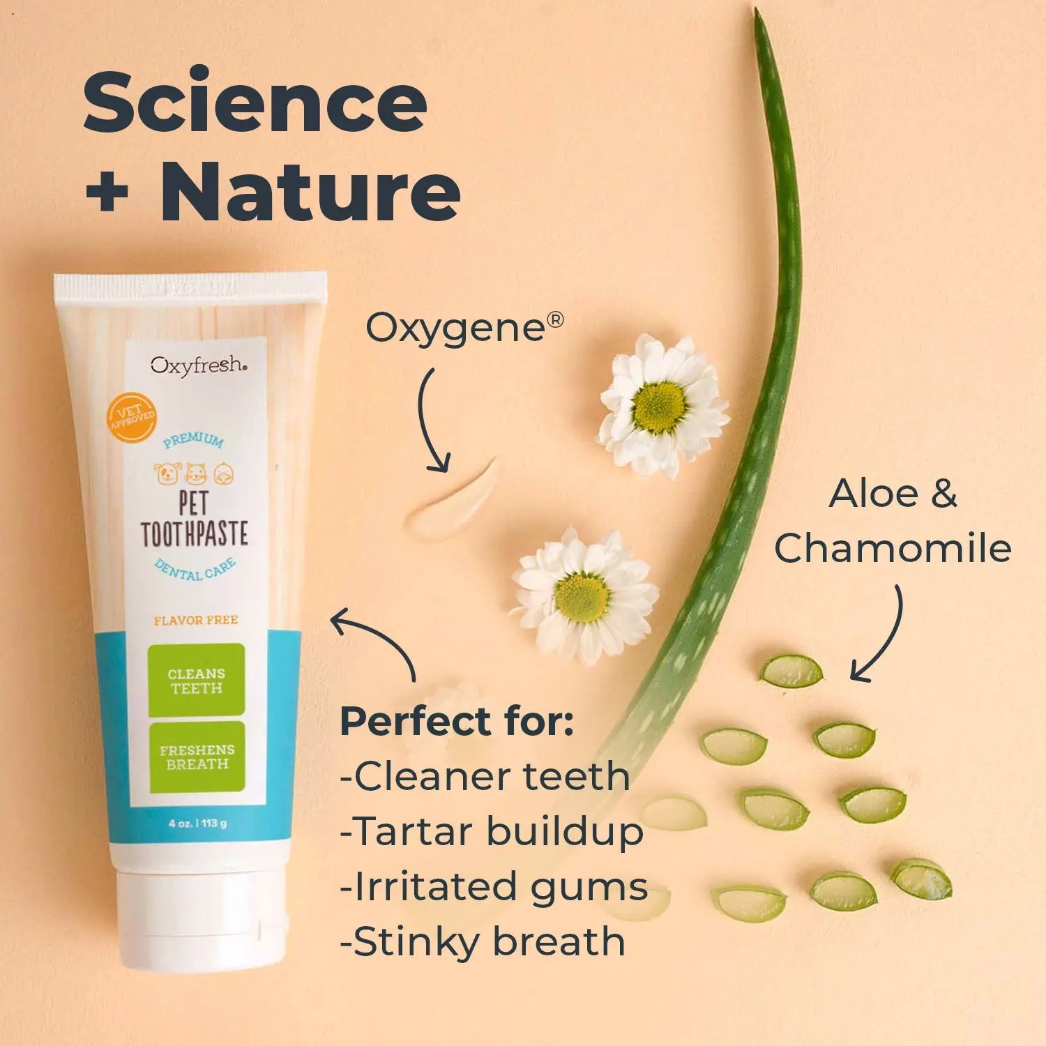 Fido's Fresh Foam - Turn Your Pup into a Plaque-Cleaning Toothbrush Hero!